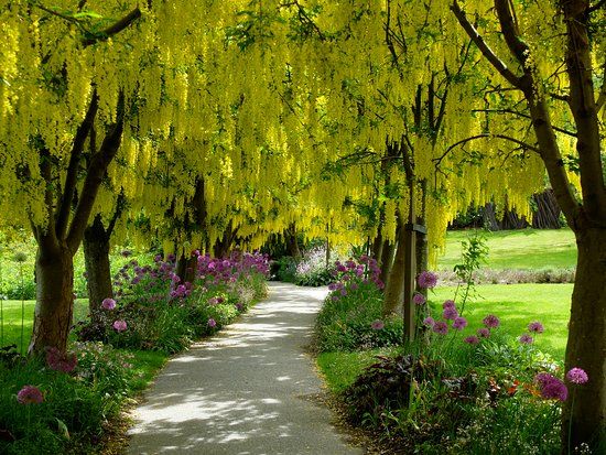 ヴァンデュッセン植物園